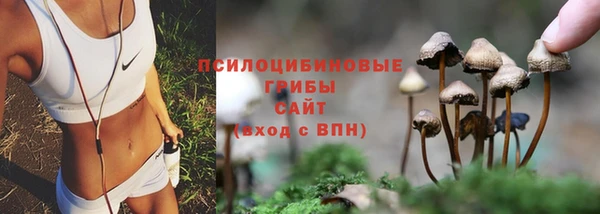 гидропоника Абдулино