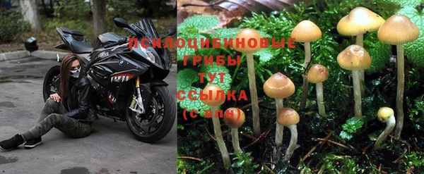 гидропоника Абдулино